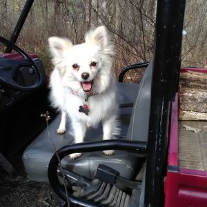 Meet your Posher, Vilma